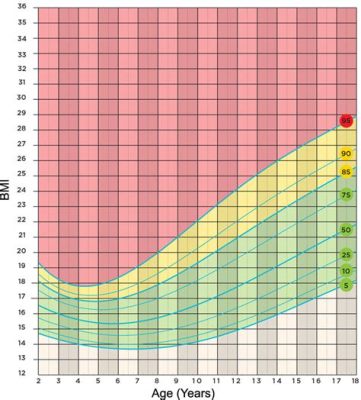 男生標準體重怎麼算？且談論體重計算的多元視角